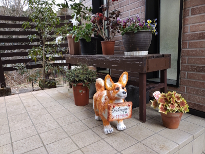 犬